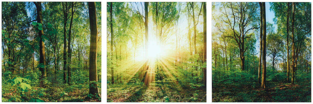 GLASBILD Landschaft & Natur  - Multicolor, Natur, Glas (30/90/1,40cm) - Euroart