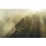VLIESTAPETE - Natur (400/250/cmcm) VLIESTAPETE - Natur (400/250/cmcm)
