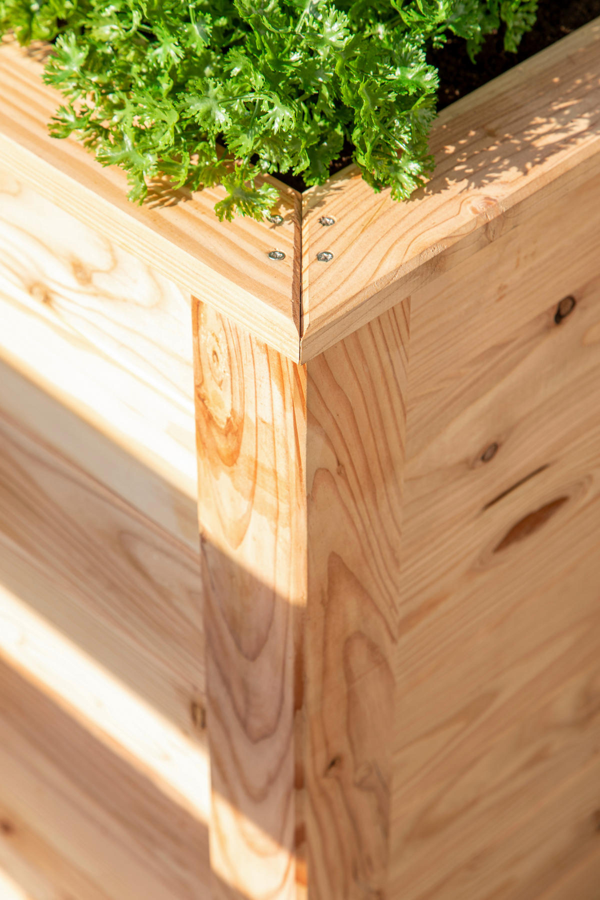 VYVÝŠENÝ ZÁHON   - farba smrekovca, Basics, drevo (90/84/170cm)