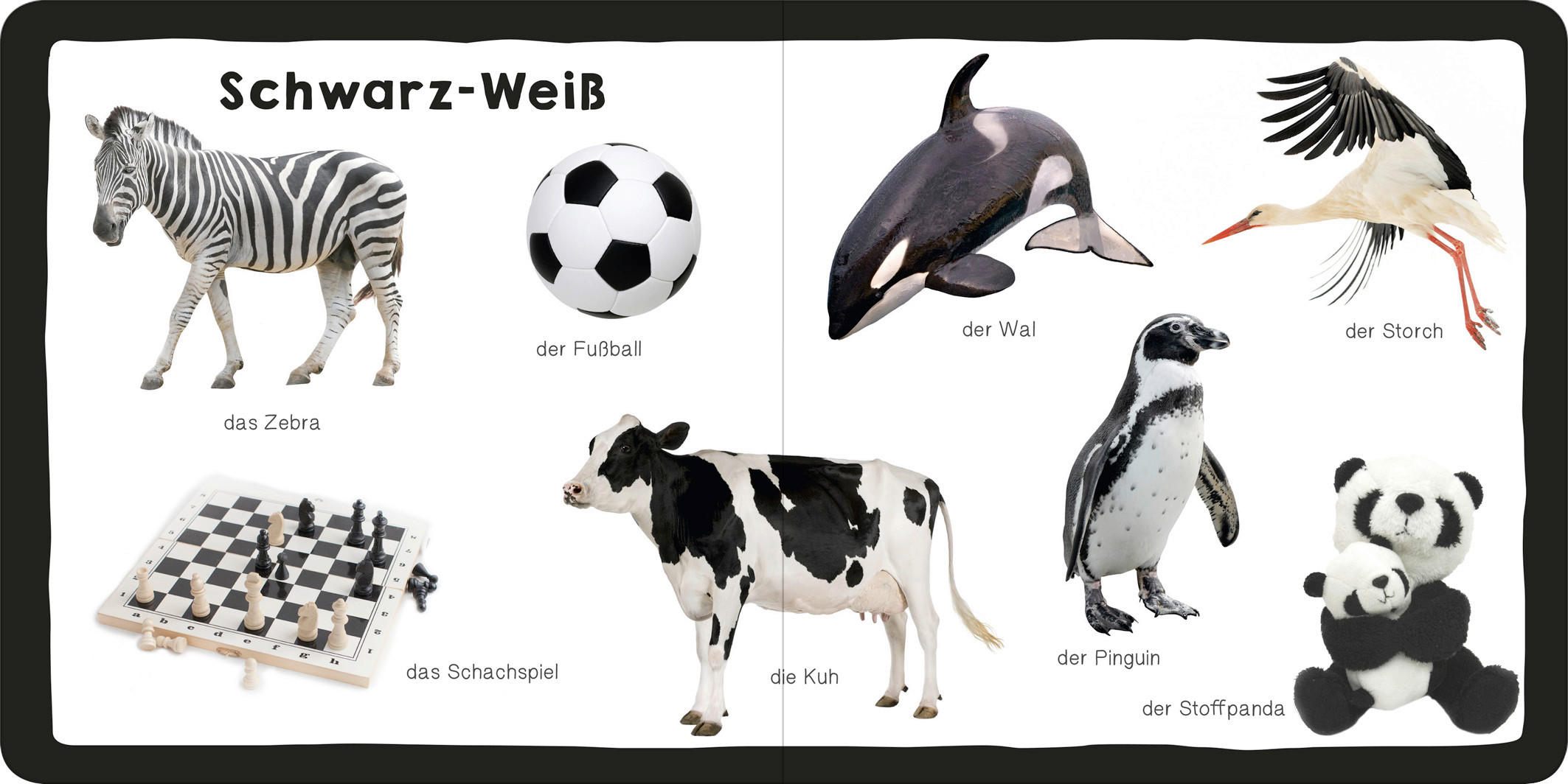 BILDERBUCH - Basics (16/16cm)