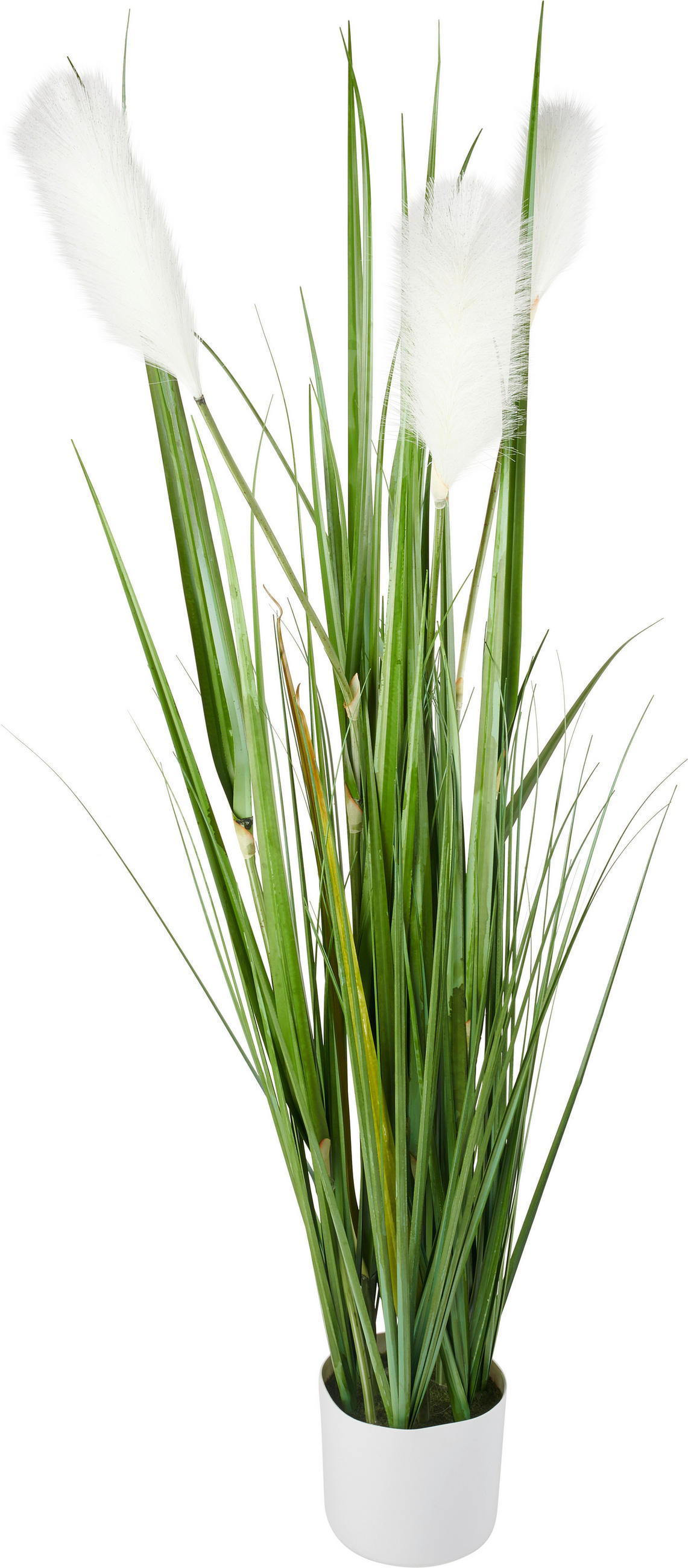 DEKOGRAS - Dunkelgrün, Basics, Kunststoff (150cm) - Ambia Home