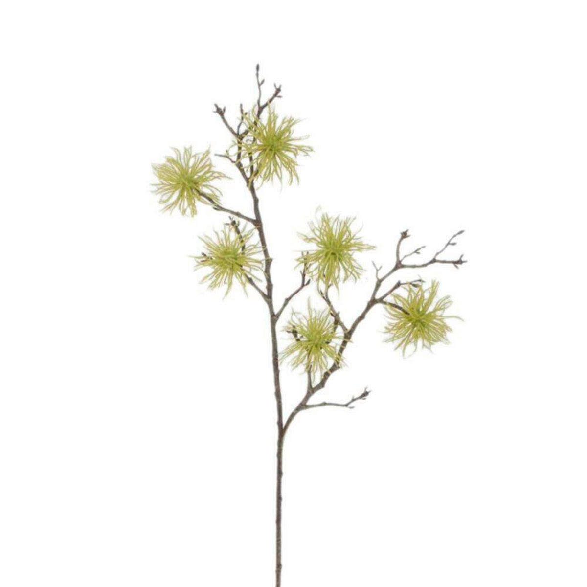 UMETNA RASTLINA - zelena/rjava, Basics, umetna masa (87cm)