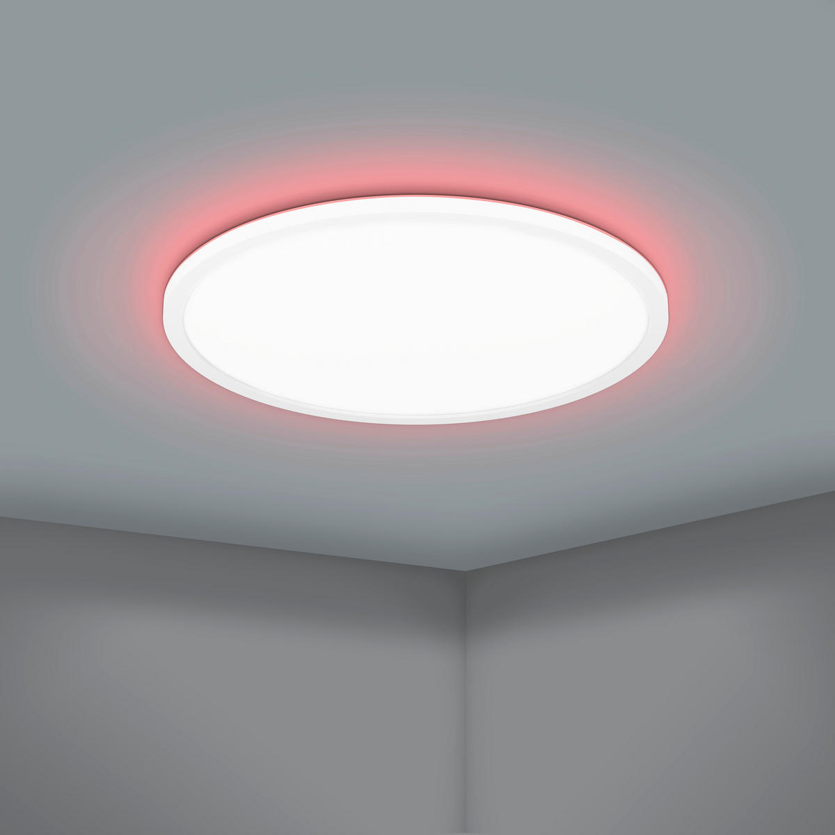 STROPNÍ LED SVÍTIDLO, 42/2,5 cm  - bílá, Basics, plast (42/2,5cm)