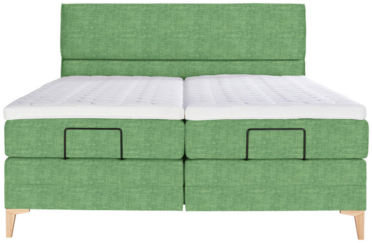 BOXSPRINGBETT 160/200 cm  in Grün  - Eichefarben/Grün, KONVENTIONELL, Holz/Textil (160/200cm) - Voleo
