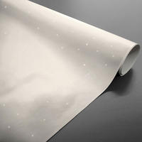 STOLNJAK    - siva, Basics, tekstil/plastika (140cm)