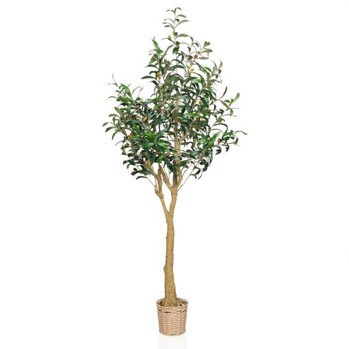 KUNSTPFLANZE Olive  - Hellbraun/Braun, MODERN, Kunststoff (60/150/60cm) - MID.YOU