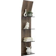 WANDPANEEL 32,5/158,4/23,5 cm  - Eichefarben, Design, Glas/Holz (32,5/158,4/23,5cm) - Moderano