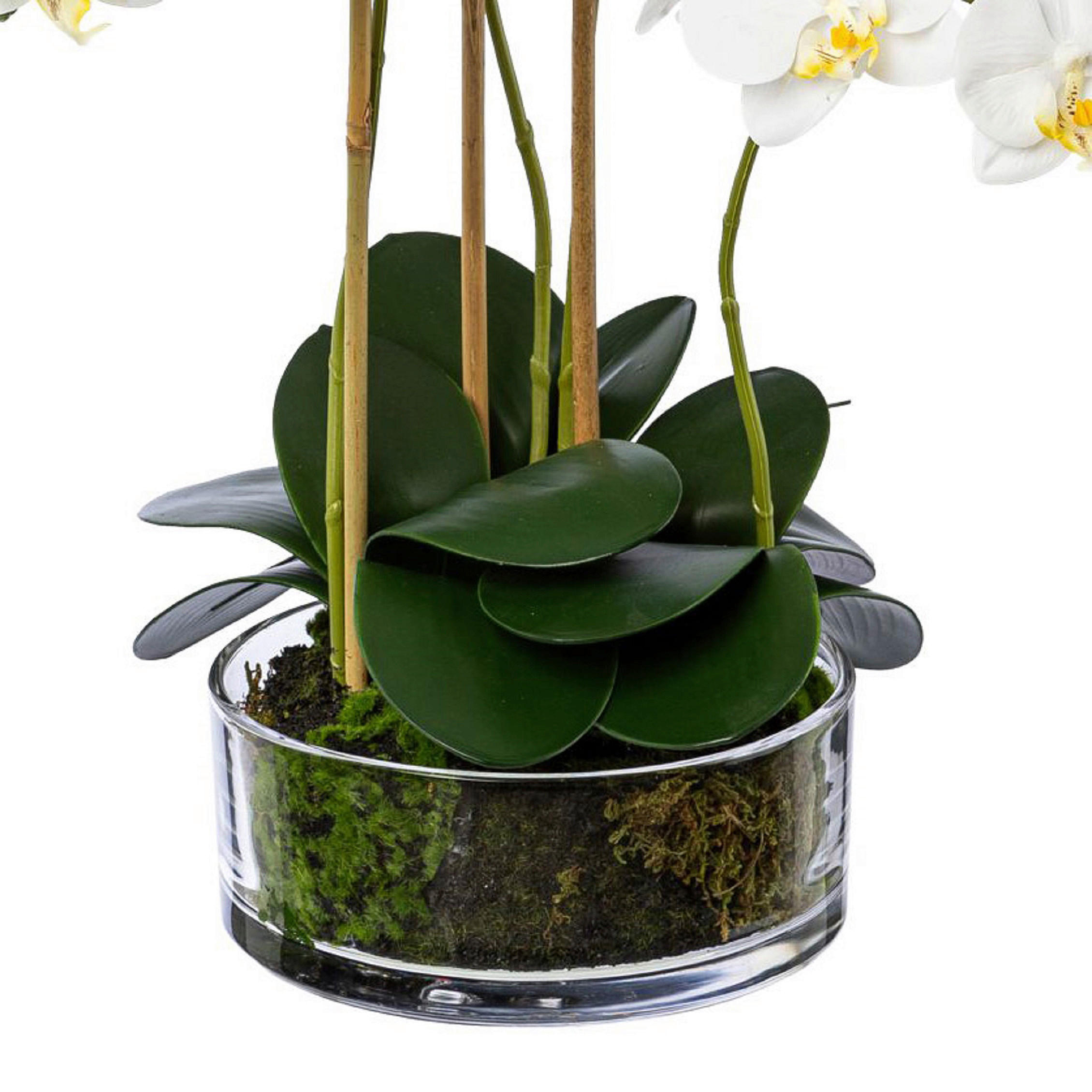 KUNSTPFLANZE Orchidee 50 cm  - Transparent/Weiß, Design, Glas/Kunststoff (50cm) - P & B