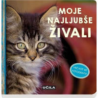 OTROŠKA KNJIGICA - večbarvno, Basics, karton