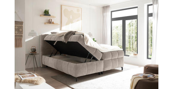 BOXBETT 180/200 cm  in Creme  - Creme/Schwarz, KONVENTIONELL, Kunststoff/Textil (180/200cm) - Hom`in