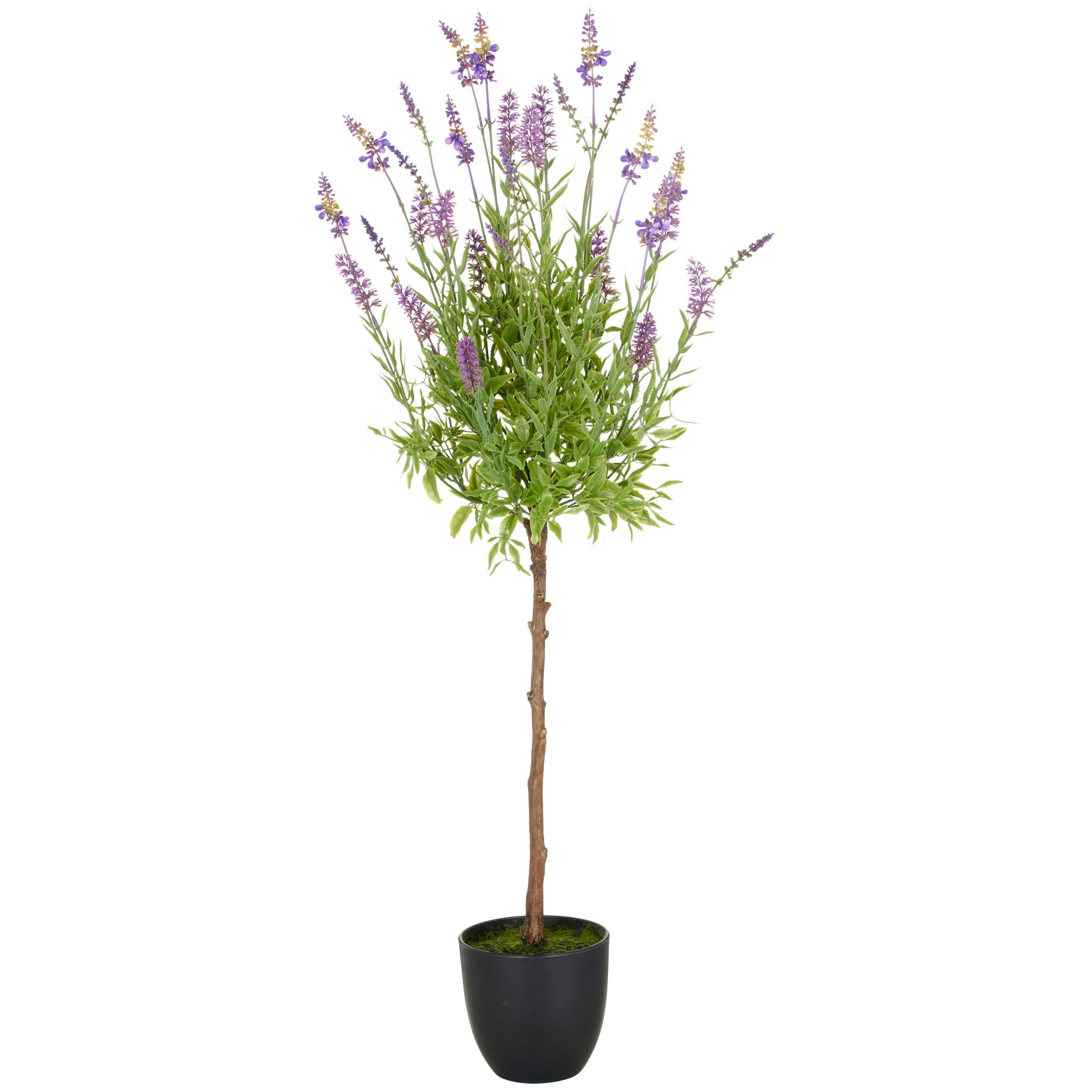 KUNSTPFLANZE Lavendel 100 cm  - Lila/Schwarz, Basics, Kunststoff (100cm)