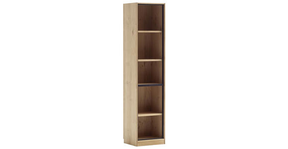 AKTENREGAL Asteiche furniert, massiv Eiche Bianco  - Eiche Bianco, KONVENTIONELL, Holz/Holzwerkstoff (45/198/40cm) - Linea Natura