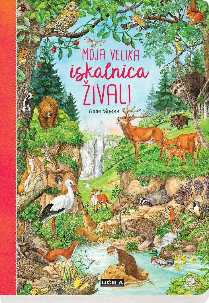 OTROŠKA KNJIGICA - večbarvno, Basics, karton