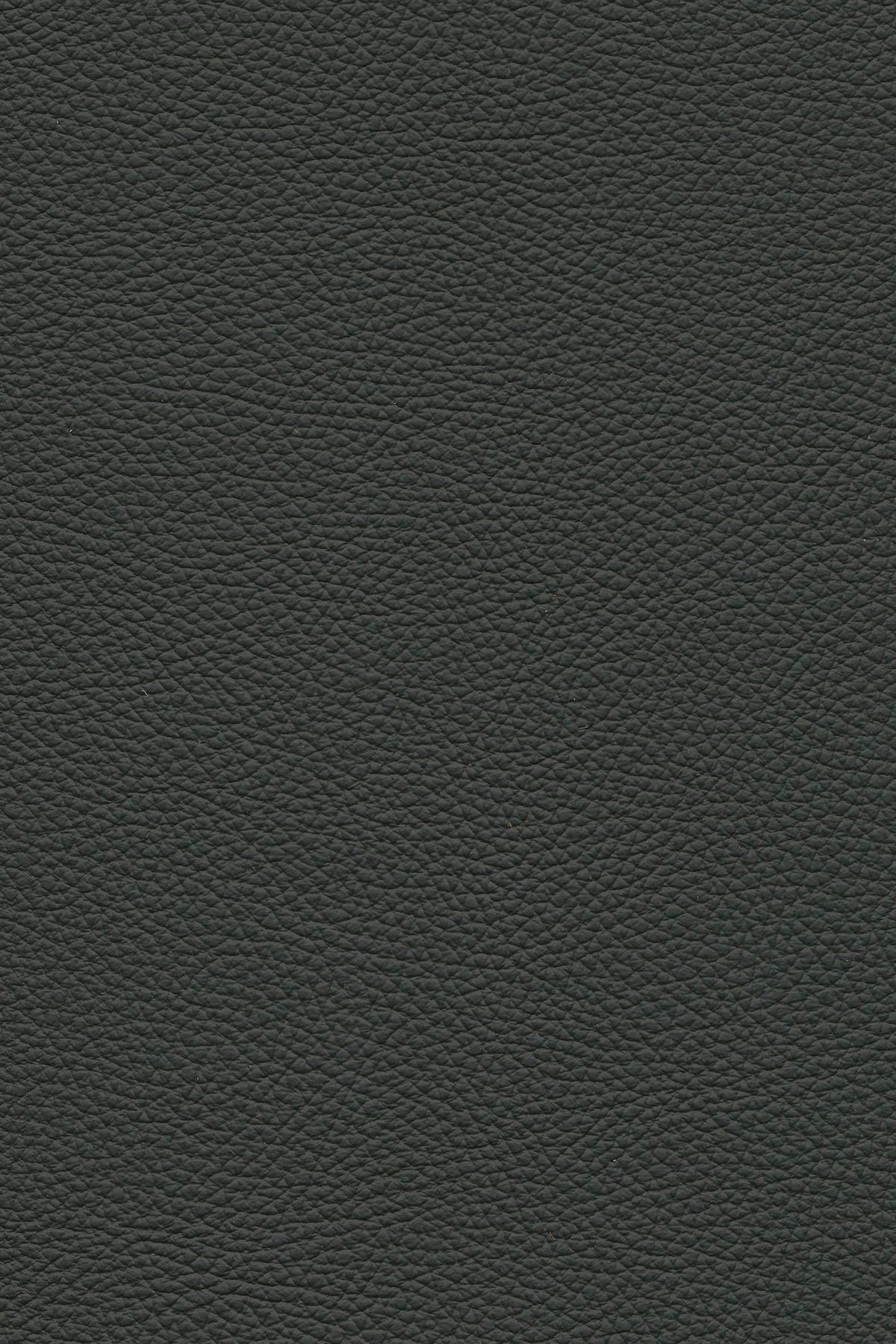 ECKSOFA in Echtleder Anthrazit  - Anthrazit/Schwarz, Design, Leder/Metall (182/325cm) - Valnatura