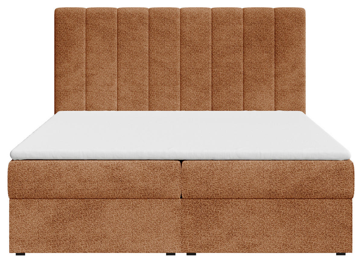 BOXBETT 160/200 cm,  in Terracotta, Bettkasten, Topper, H2 + H3 = mittel + fest  - Terracotta/Schwarz, MODERN, Holz/Kunststoff (160/200cm) - MID.YOU