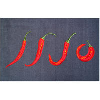 FUßMATTE 75/120 cm Hot Chili  - Hellrot/Grau, Trend, Kunststoff/Textil (75/120cm) - Grund