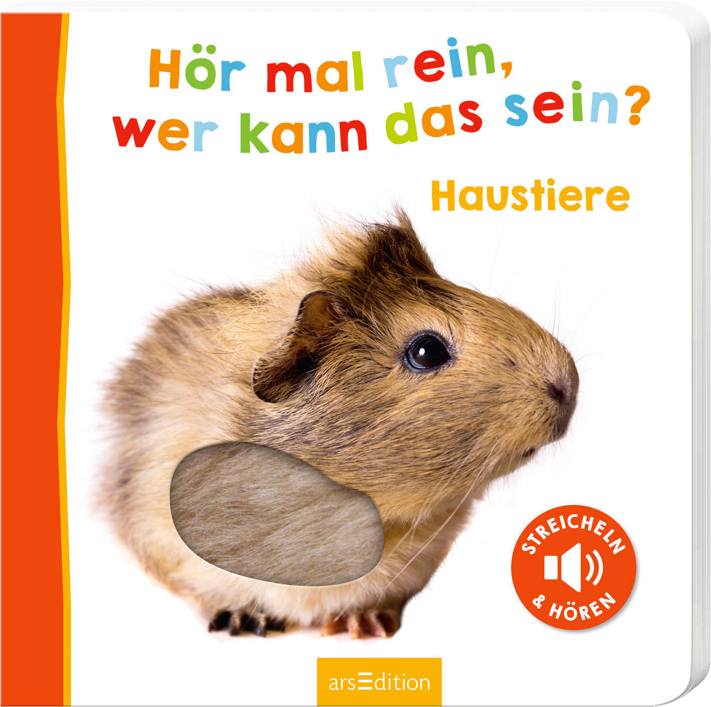 BUCH - Basics (19,6/19,6/2,4cm)