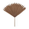 DEKORATIONSBLOMMA - brun, Basics, metall/plast (55/62cm)