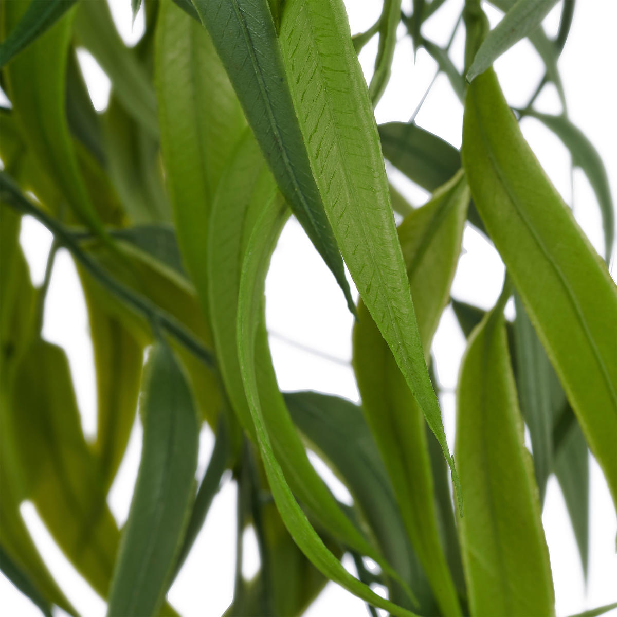 KUNSTPFLANZE Eukalyptus 70 cm  - Grün, Basics, Kunststoff (70cm)