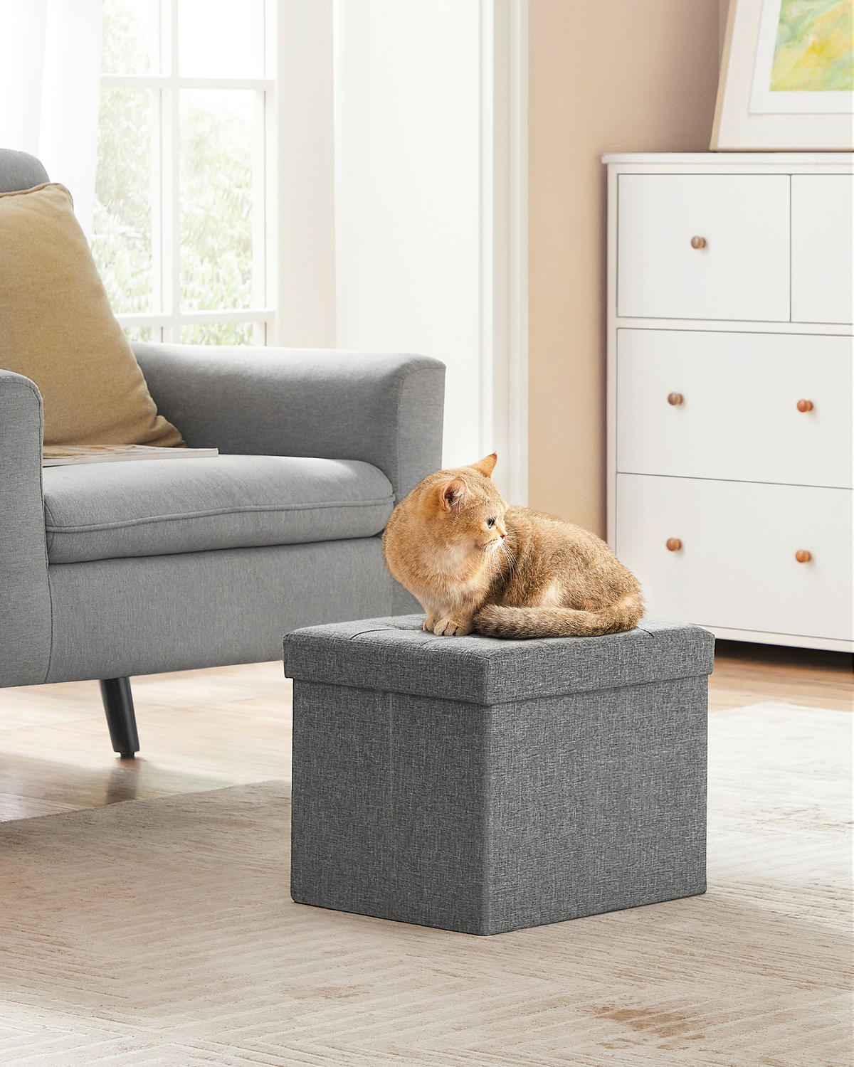 SITZBOX  - Grau, Basics, Textil (41/31/31cm)