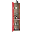 HOCHSCHRANK 35/162,5/25 cm  - Rot, Design, Glas/Holzwerkstoff (35/162,5/25cm) - Dieter Knoll