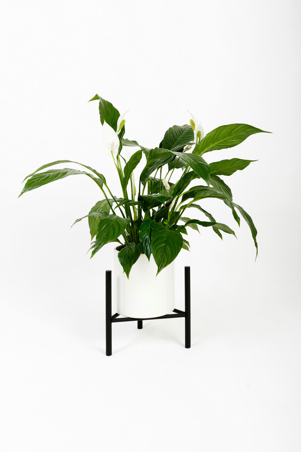 BLUMENSTÄNDER in Metall  - Schwarz, Basics, Metall (35/25/35cm)