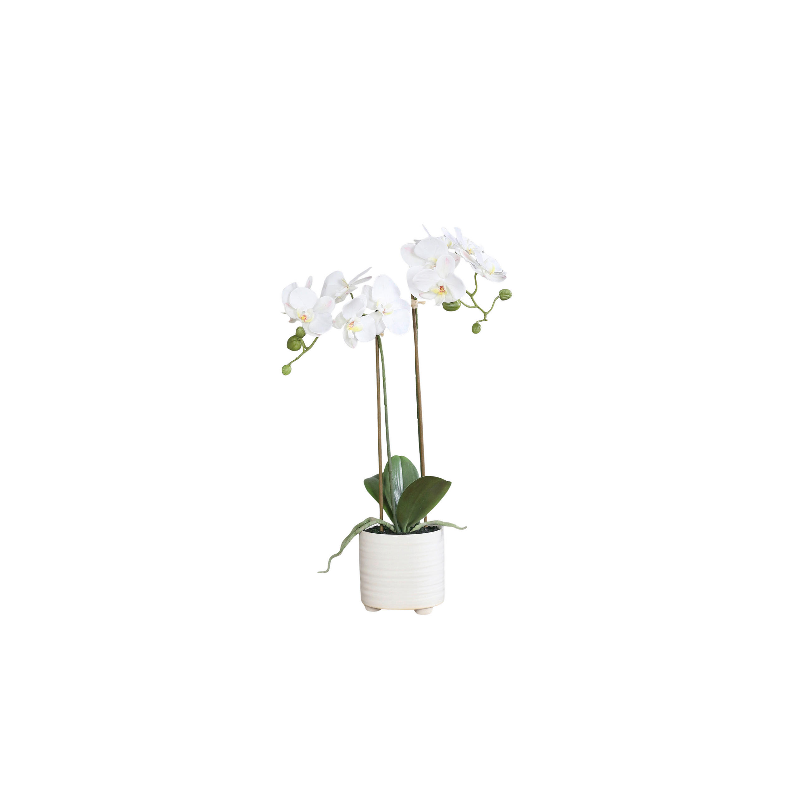 ORCHIDEE - Creme/Grün, Basics, Keramik/Kunststoff (52cm)