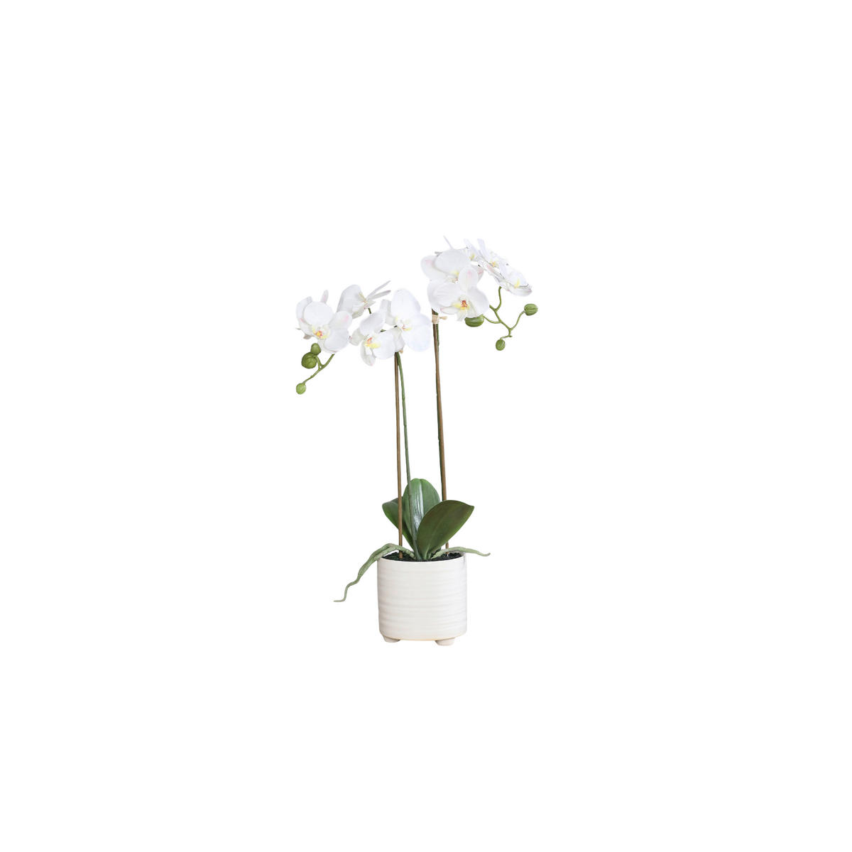 ORCHIDEE - Creme/Grün, Basics, Keramik/Kunststoff (52cm)