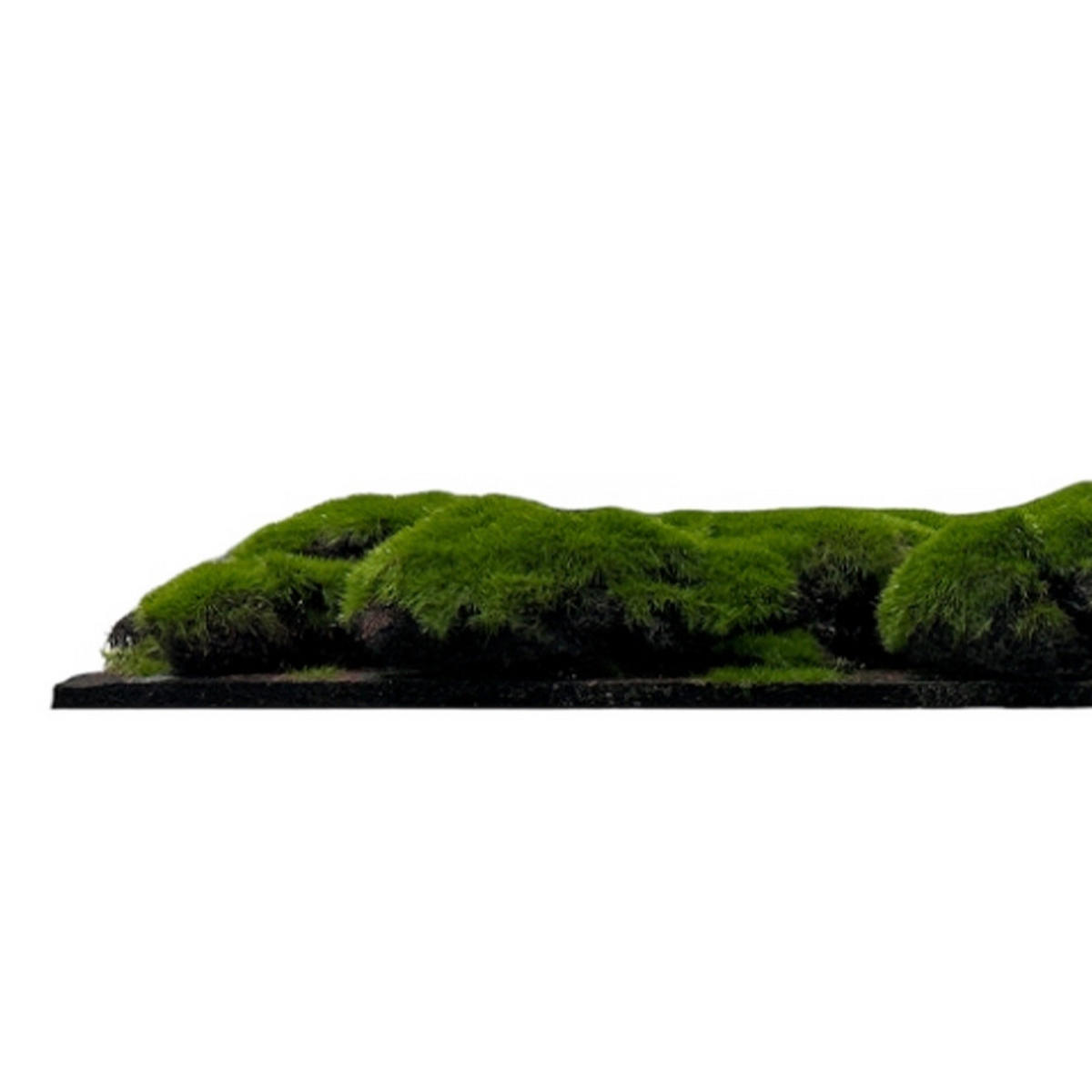 AKUSTIKPANEEL Modular Wall System Design Moos 52/52/2.6 cm  - Hellgrün, KONVENTIONELL, Naturmaterialien (52/52/2.6cm) - Jangal