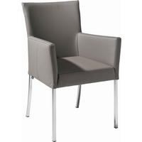 ARMLEHNSTUHL  in Edelstahl Echtleder pigmentiert  - Schlammfarben, Design, Leder/Metall (59/91/65cm) - Musterring