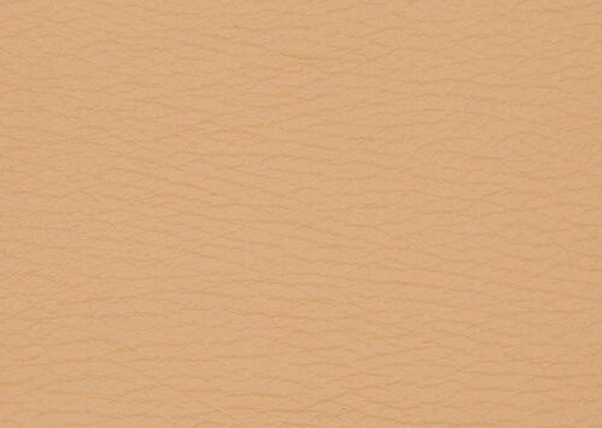 FERNSEHSESSEL in Hellbraun  - Hellbraun/Schwarz, KONVENTIONELL, Leder/Kunststoff (88/107/91cm) - Himolla Komfortklass