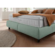BOXSPRINGBETT 180/200 cm  in Hellgrau, Salbeigrün  - Salbeigrün/Hellgrau, Design, Textil/Metall (180/200cm) - Johann Jakob