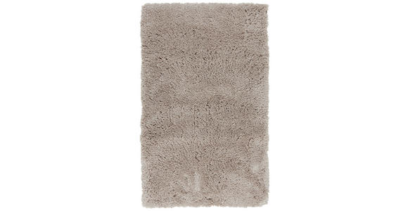 BADEMATTE 60/100 cm Taupe - Taupe, Basics, Kunststoff/Textil (60/100cm) - Ambiente