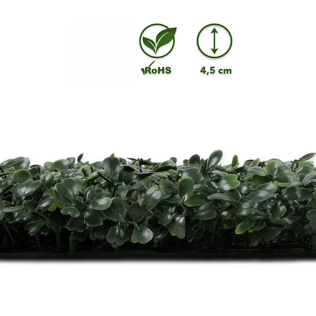 WANDVERKLEIDUNG Kunststoff  - Jadegrün, Trend, Kunststoff (50/50cm) - Floordirekt