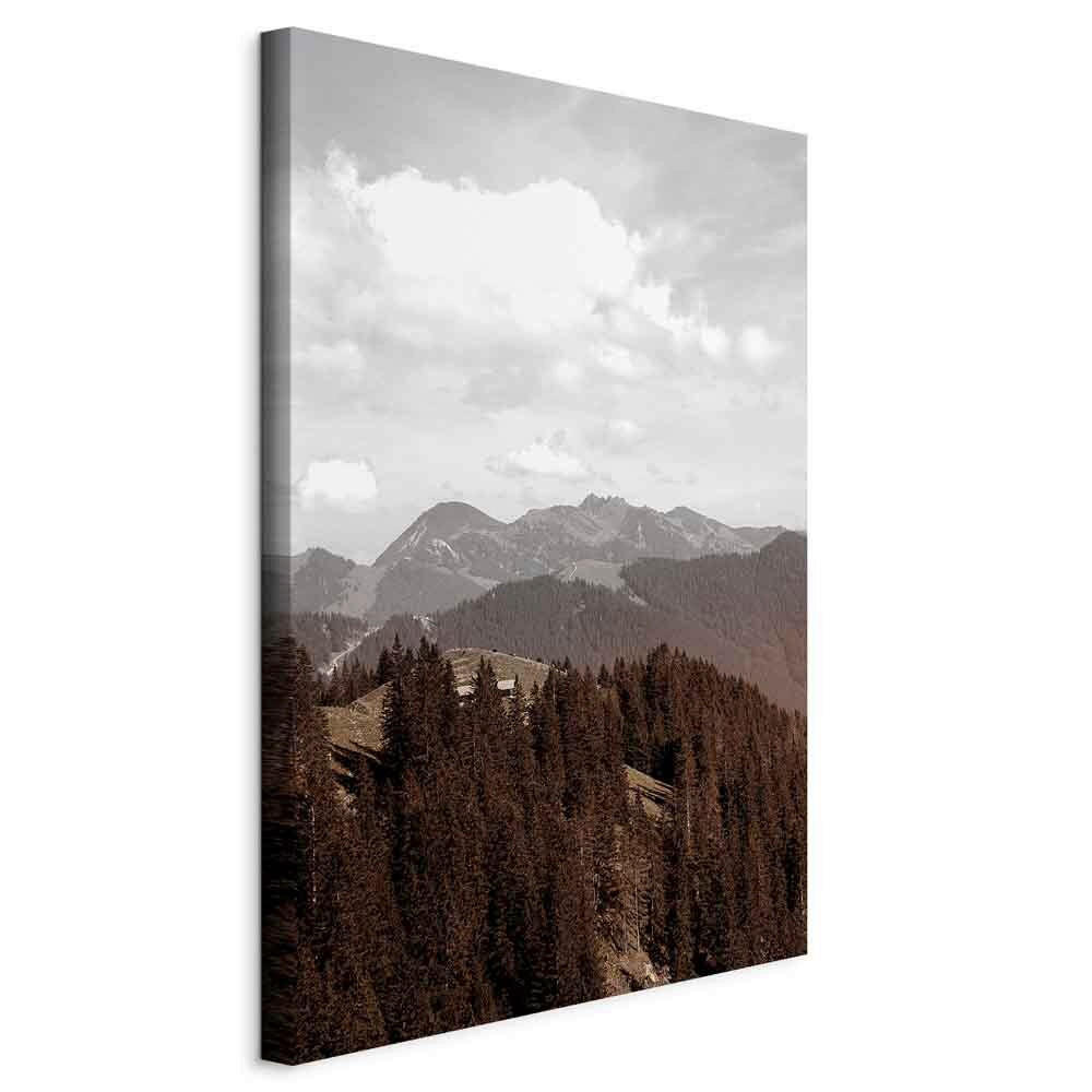 LEINWANDBILD Landschaft und Natur, Abstraktes Braun, Weiß  - Braun/Weiß, Basics, Holzwerkstoff/Textil (40/60/1.2cm) - artgeist