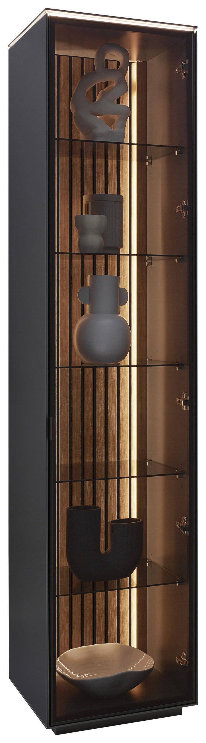 VITRINA, furnirano hrast antracit, barve hrasta - črna/barve hrasta, Design, kovina/steklo (45,8/198,6/40cm) - Dieter Knoll