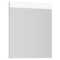 BADEZIMMERSPIEGEL 60/72/2,5 cm  - Alufarben, MODERN, Metall (60/72/2,5cm) - Nobilia