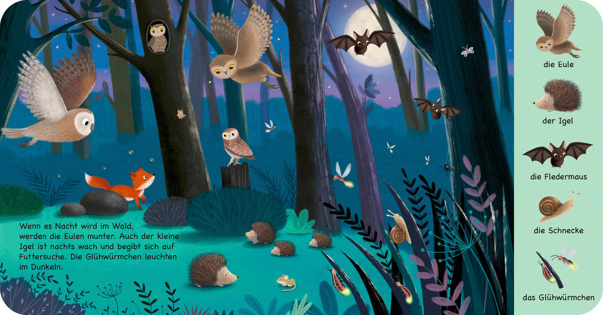 BUCH  - Multicolor, Basics, Papier (11,5/11/0,9cm) - Carlsen