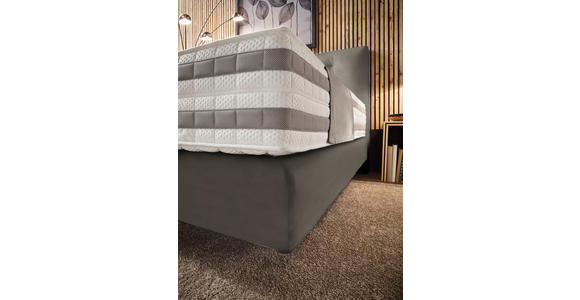 BOXSPRINGBETT 200/200 cm in Taupe - Taupe, KONVENTIONELL, Holz/Textil (200/200cm) - Dieter Knoll