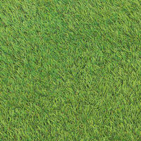 GYEPSZŐNYEG   - Basics, textil (100/400cm) - Boxxx