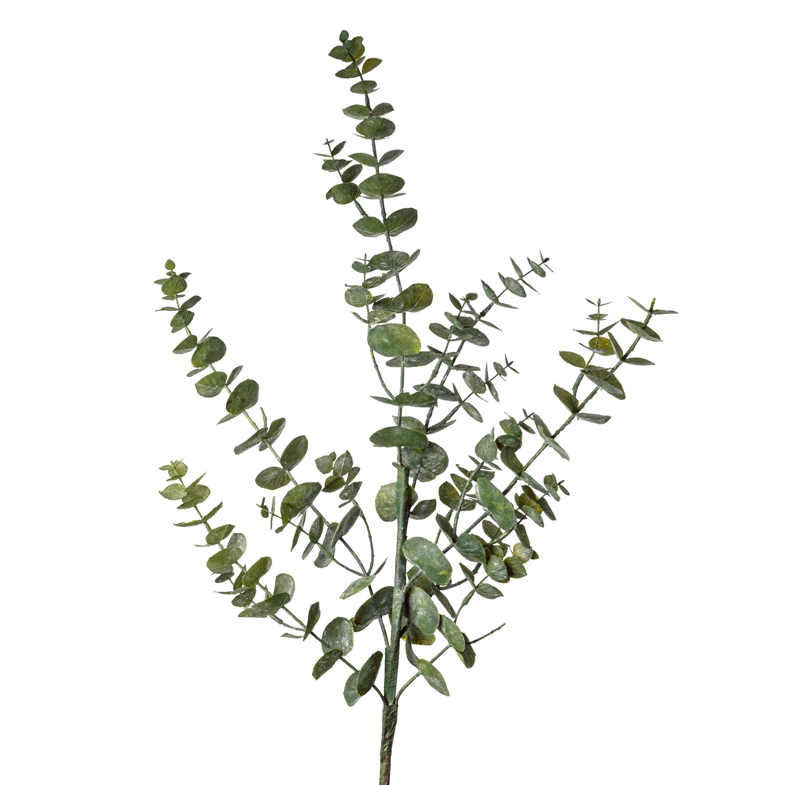 DEKORAČNÁ VETVIČKA eukalyptus 90 cm - zelená, Basics (90cm)