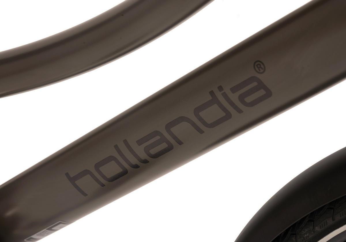ELEKTROFAHRRAD 28 Zoll  - Grau, Basics, Metall (180/70/100cm)