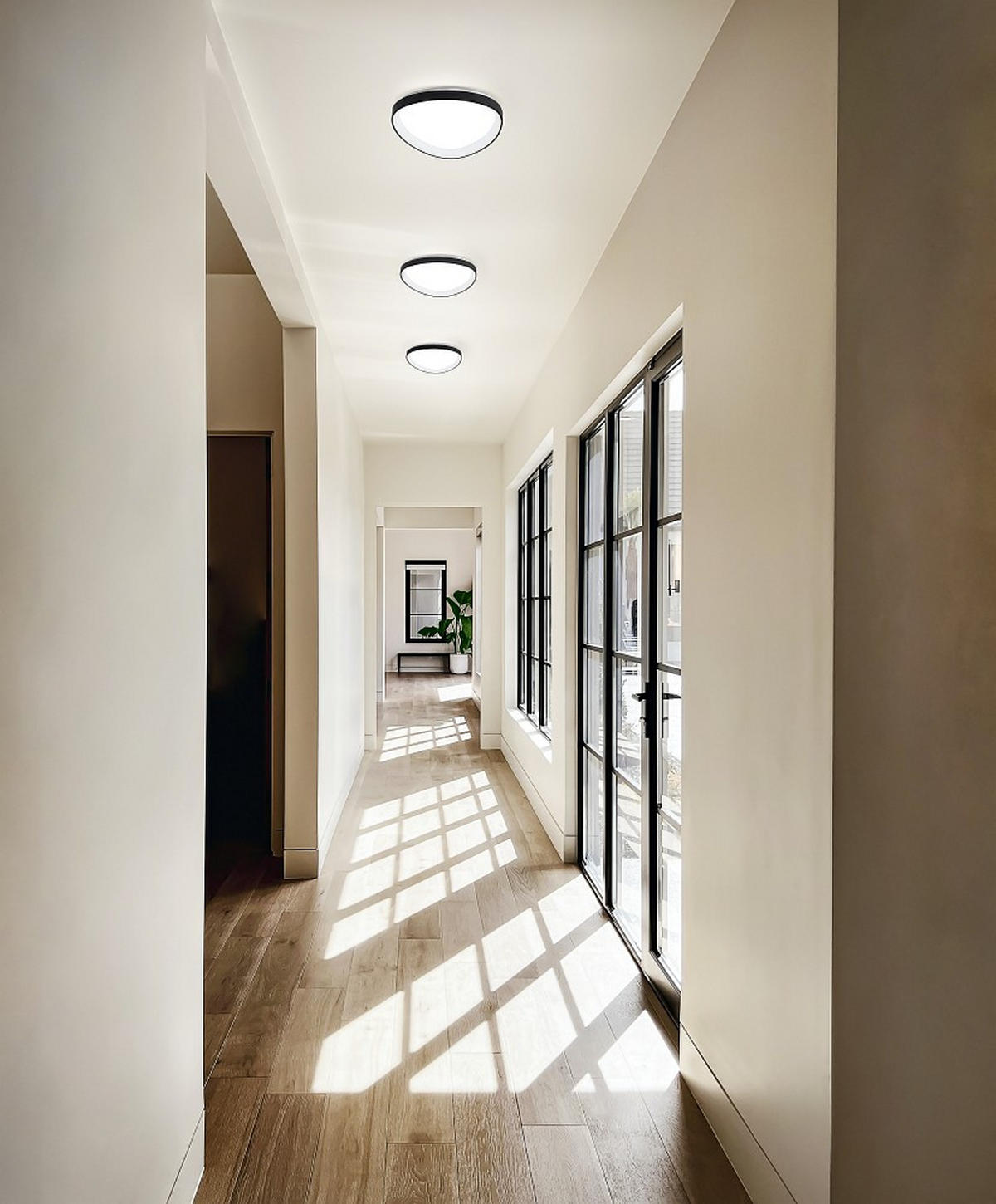 LED-DECKENLEUCHTE Quirk 42/7 cm   - Goldfarben, Design, Kunststoff/Metall (42/7cm) - Fabas Luce