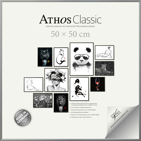 BILDERRAHMEN - Silberfarben, Basics, Papier/Holzwerkstoff (50/50/1,8cm)