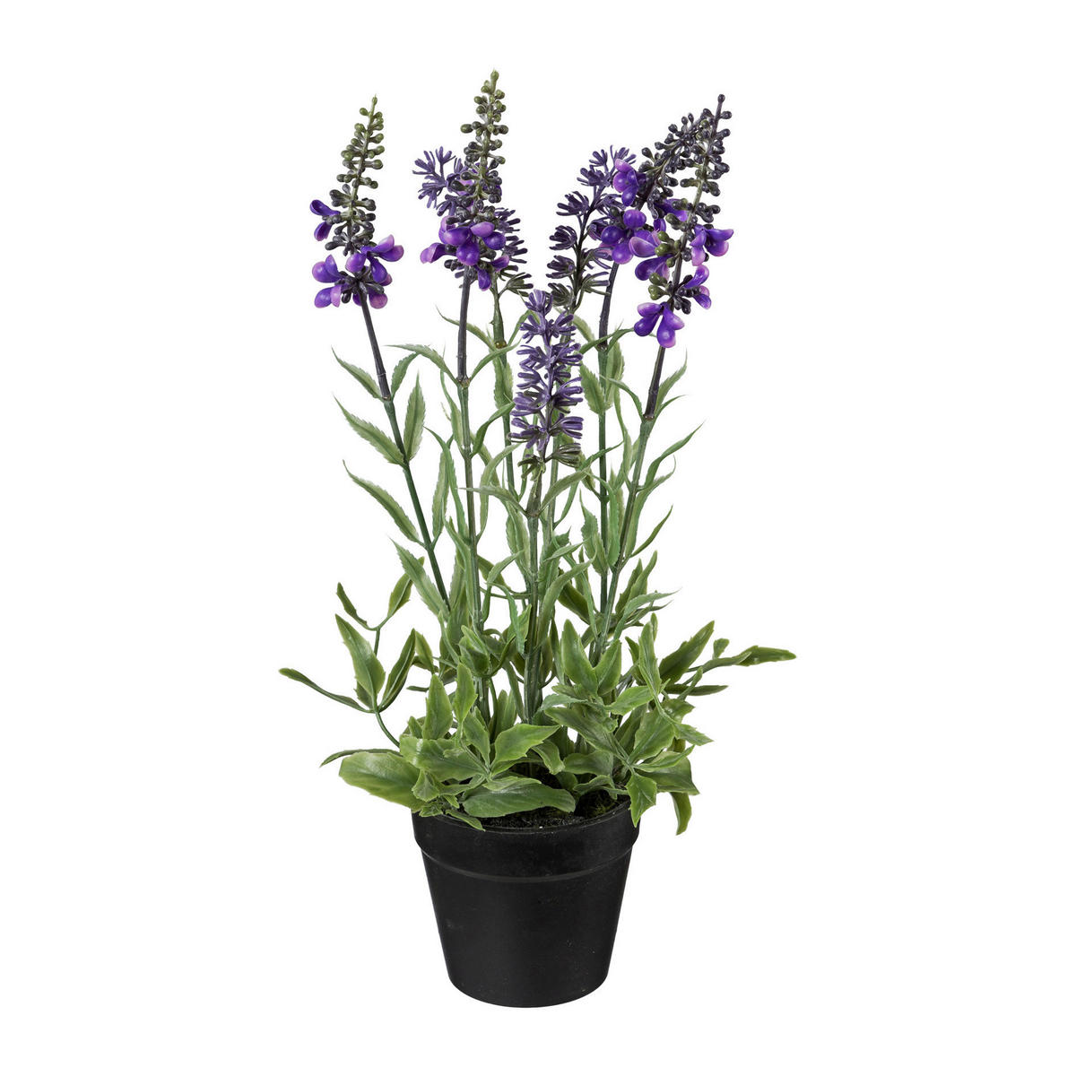 KUNSTPFLANZE 30 cm  - Lila/Grün, Basics, Kunststoff (30cm) - Ambia Home