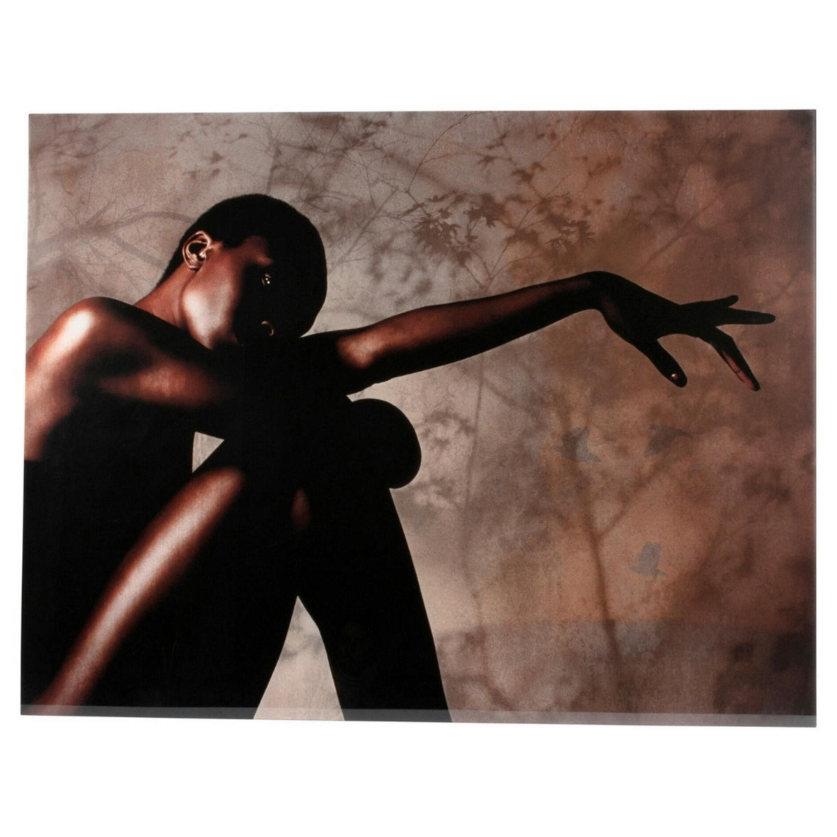 STAKLENA SLIKA    - Beigebraun, Basics, staklo (130/0.5/100cm)