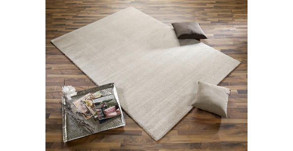 WEBTEPPICH 120/170 cm Beige  - Beige, Basics, Textil (120/170cm) - Novel