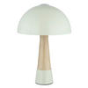 STOLNÍ LAMPA, E27, 25/36,5 cm  - černá/šalvějově zelená, Basics, kov/plast (25/36,5cm)