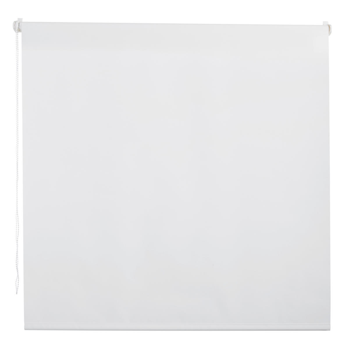 ROLLO  halbtransparent  100/160 cm    - Weiß, Design, Kunststoff (100/160cm) - Homeware