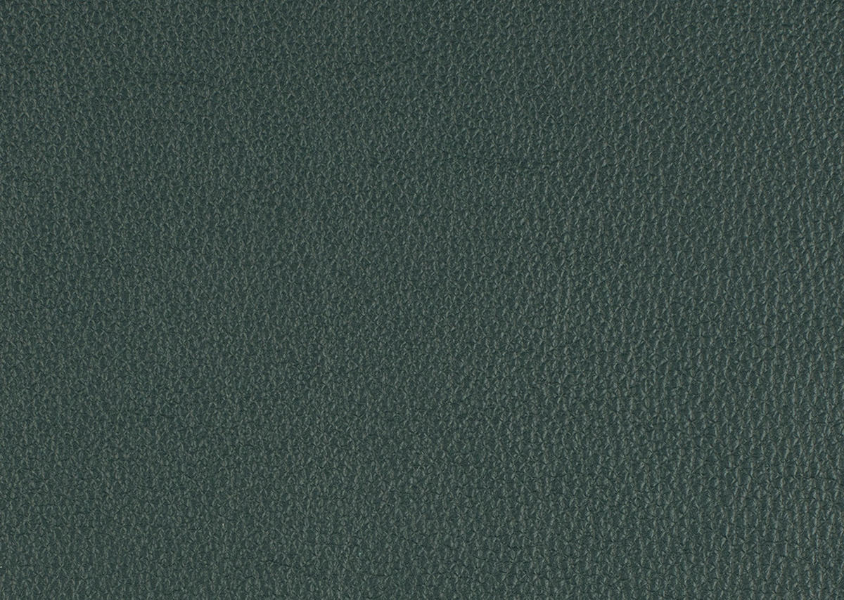 OHRENSESSEL in Waldgrün  - Waldgrün/Schwarz, Design, Leder/Metall (84/104/96cm) - home24